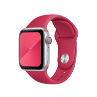 COTEetCI W3 Sport Band for Apple Watch 38/40/41mm Wine Red (WH2085-WR)