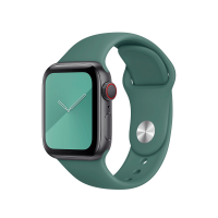 COTEetCI W3 Sport Band for Apple Watch 42/44/45/49mm Forest Green (WH2086-GN)