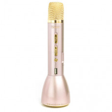 WK Microphone & Speaker (2 in 1) gold