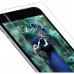 iWalk Screen Protector For iPhone 7 Plus/8 Plus (PFG023I7PLUS)